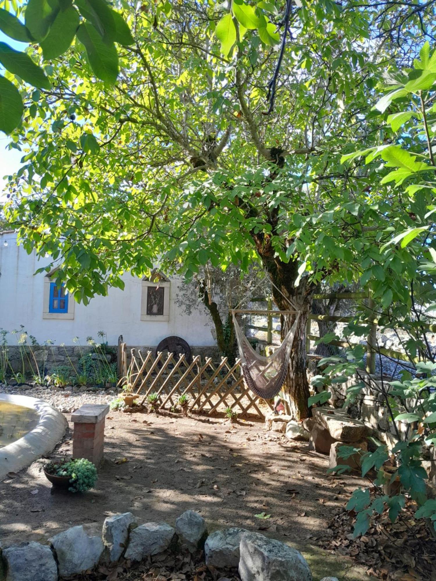 Refugio Das Artes Guesthouse Porto de Mós Dış mekan fotoğraf